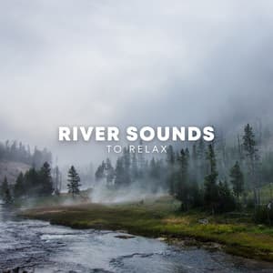 River Sounds To Relax - ASMR