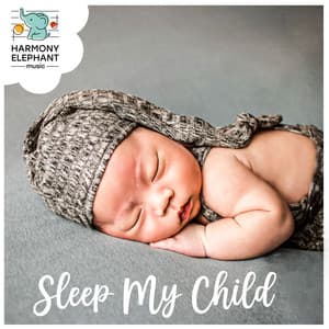 Love You My Baby - Sleep My Child