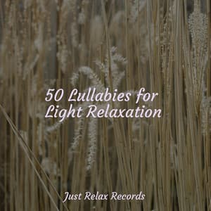 50 Lullabies for Light Relaxation - Meditation
