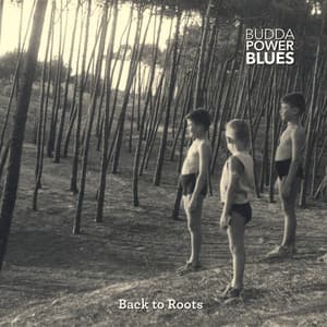 Back to Roots - Budda Power Blues