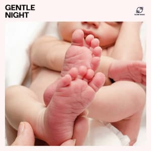 Gentle Night: Baby Bedtime Lullabies - Baby Sleep Music