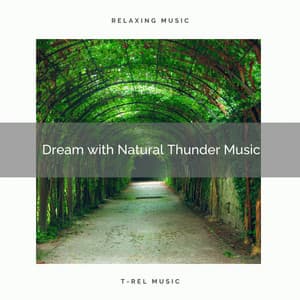 Dream with Natural Thunder Music - Relax Rain