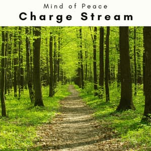 1 Charge Stream - Mind of Peace