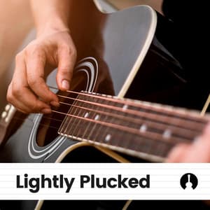 Lightly Plucked - The Sleepy Guitar
