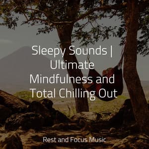 Sleepy Sounds | Ultimate Mindfulness and Total Chilling Out - Yoga Music