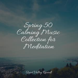 Spring 50 Calming Music Collection for Meditation - Lullabies for Deep Meditation