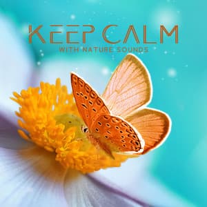 Keep Calm with Nature Sounds: Relaxation and Healing Zen Music for Mind Body Connection - Keep Calm Music Collection