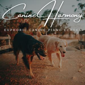 Canine Harmony: Meditative Piano for Dogs' Wellbeing - Piano Animal