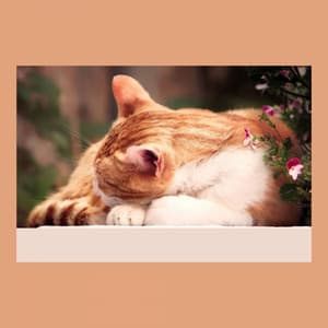 Elegant Jazz Trio - Ambiance for Cutest Kittens - Sleepy Cat