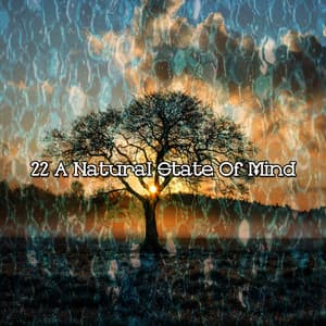 22 A Natural State Of Mind - Forest Sounds