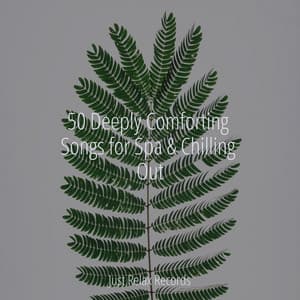 50 Deeply Comforting Songs for Spa & Chilling Out - Deep Sleep Meditation