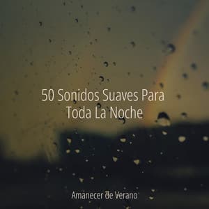 50 Sonidos Suaves Para Toda La Noche - Mantra para Meditar