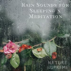 Rain Sounds for Sleeping x Meditation - Nature’s Supreme