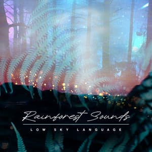 Low Sky Language - Rainforest Sounds