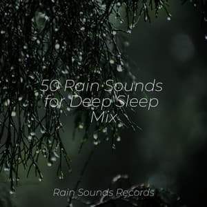 50 Rain Sounds for Deep Sleep Mix - Sounds of Nature Relaxation