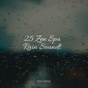 25 Zen Spa Rain Sounds - Relaxamento