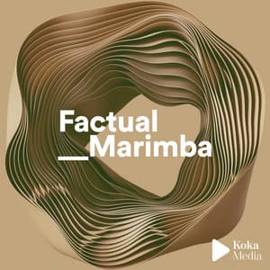 Factual Marimba - Fred Dubois