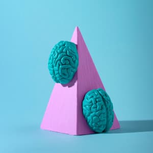 Permanently Boost Brain Power - Hz Frequency Zone