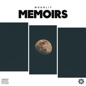 Moonlit Memoirs - CreativeWaves