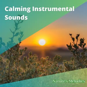 Calming Instrumental Sounds to Boost Attention and Productivity - Nature's Melodies