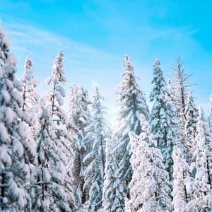 12AM Bedtime Ballads: Calming Winter Sounds - White Noise for Babies