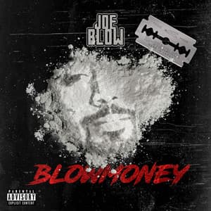 BlowMoney - Joe Blow