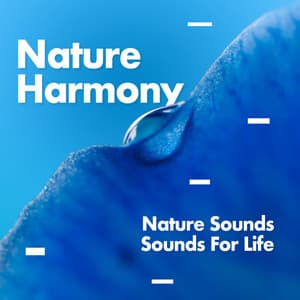 Nature Harmony - Nature Sounds