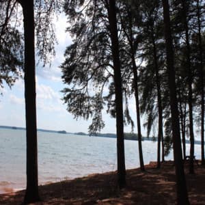 Background Cancelling Ambiance - Sleepy Sounds