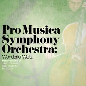 Pro Musica Symphony Orchestra: Wonderful Waltz - Pro Musica Symphony Orchestra