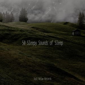 50 Sleepy Sounds of Sleep - Healing Yoga Meditation Music Consort