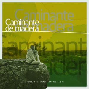 Caminante de madera - Sonidos de la Naturaleza Relajacion