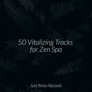 50 Vitalizing Tracks for Zen Spa - Study Hard