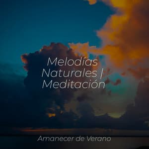 Melodías Naturales | Meditación - Relaxing Mindfulness Meditation Relaxation Maestro