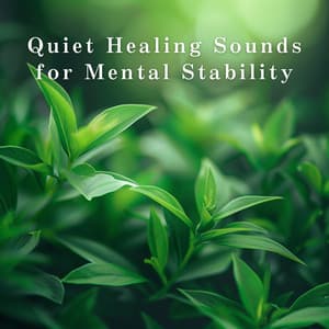 Quiet Healing Sounds for Mental Stability - Relaxing BGM Project