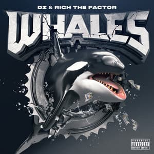 Whales - DZ