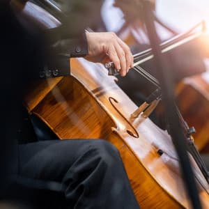 Symphony of Silence: Meditation Orchestra - Charles Anderson