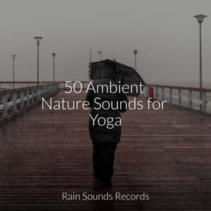 50 Ambient Nature Sounds for Yoga - Shakuhachi Sakano