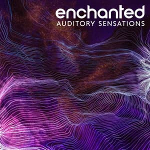 Enchanted Auditory Sensations: Relaxation Meditation - Meditation Music Club