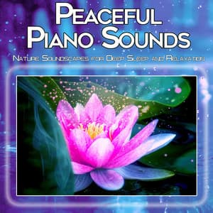 Peaceful Piano Sounds: Nature Soundscapes for Deep Sleep and Relaxation - Spa Music Relaxation