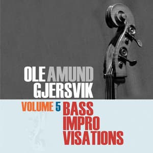 Bass Improvisations Volume 5 - Ole Amund Gjersvik