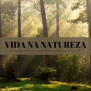 Vida Na Natureza: Um Banho Tranquilo Com Sons Suaves Da Natureza - Música Para Cães Adormecidos