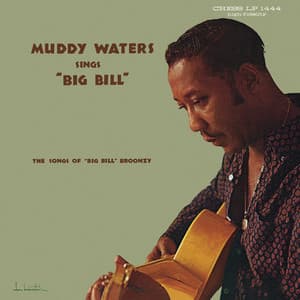 Muddy Waters Sings Big Bill Broonzy - Muddy Waters