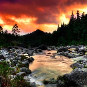 Tranquil by the River: Nature's Dreamy Lullabies - River Sound for Sleep