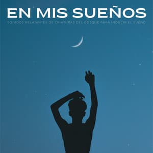 En Mis Sueños: Sonidos Relajantes De Criaturas Del Bosque Para Inducir El Sueño - Canciones de cuna para el sueño profundo