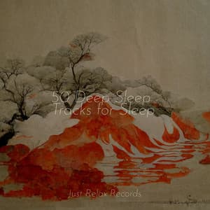 50 Deep Sleep Tracks for Sleep - Forest Sounds
