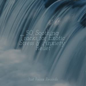 50 Soothing Tracks for Exotic Stress & Anxiety Relief - Meditation Awareness