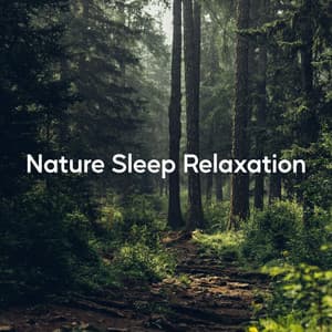 Nature Sleep Relaxation - Relaxing Nature Sounds Collection