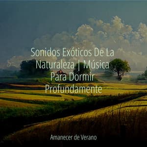 Sonidos Exóticos De La Naturaleza | Música Para Dormir Profundamente - Yoga
