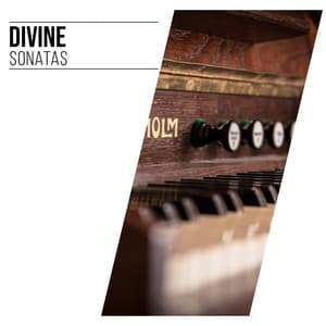 # Divine Sonatas - Serenvivo