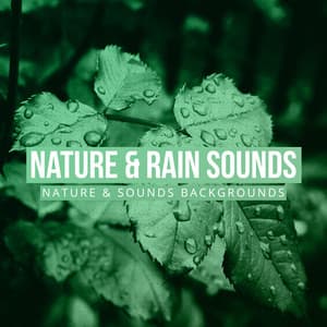 Nature & Rain Sounds - Nature Sounds & Backgrounds